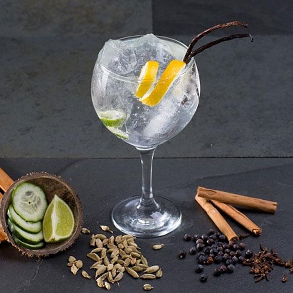 Gin Tonic perfecto consejos para prepararlo - DIVINA COCINA